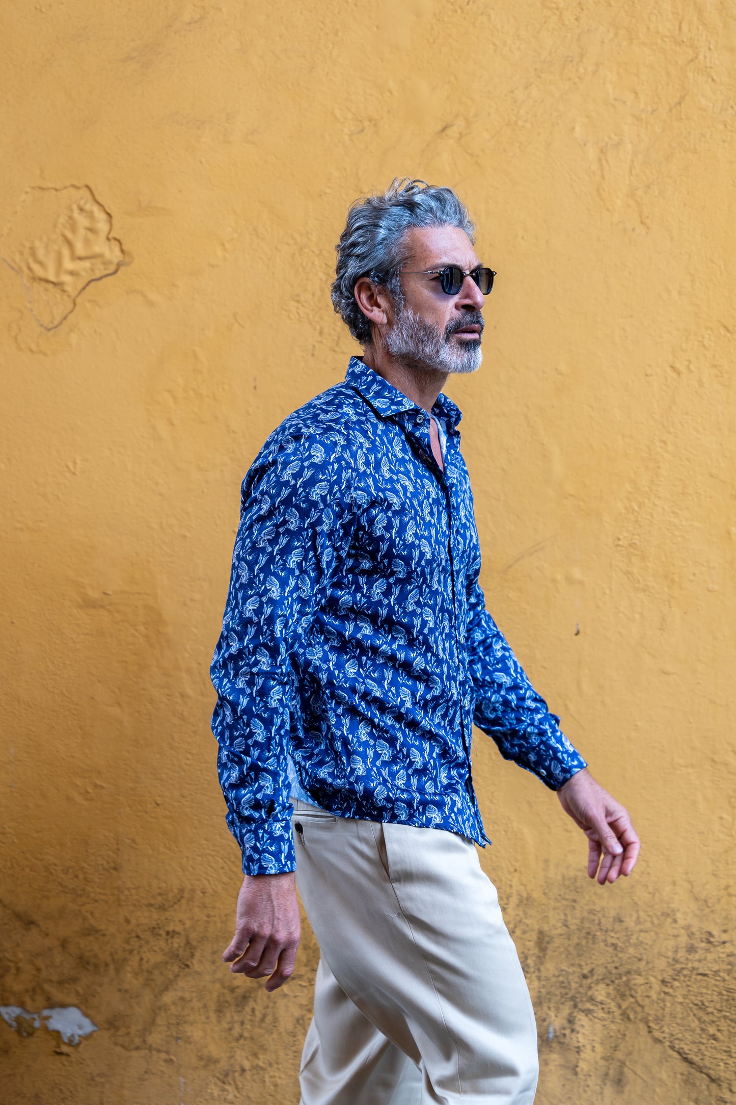 Camisa Monttesco pájaros azul