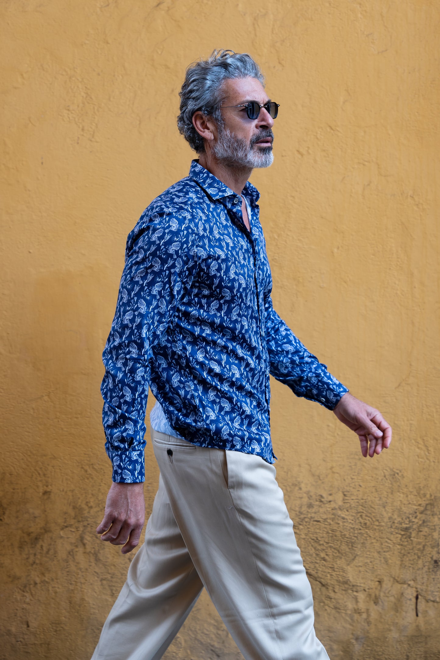 Camisa Monttesco pájaros azul