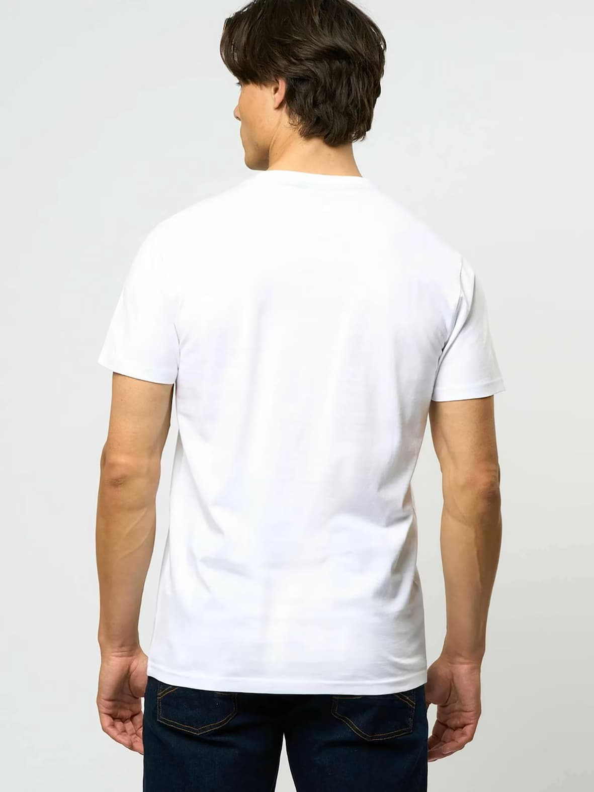 Camiseta bruce