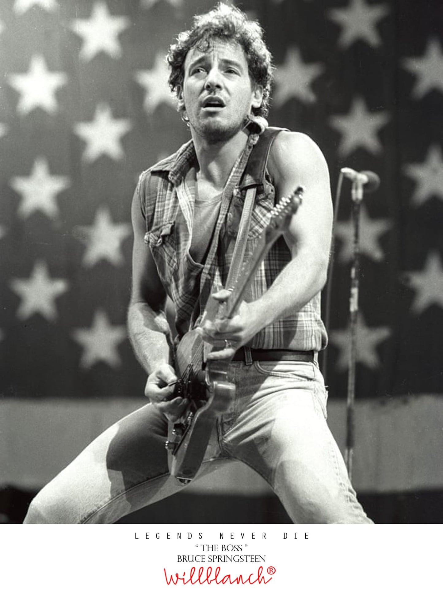 Camiseta bruce