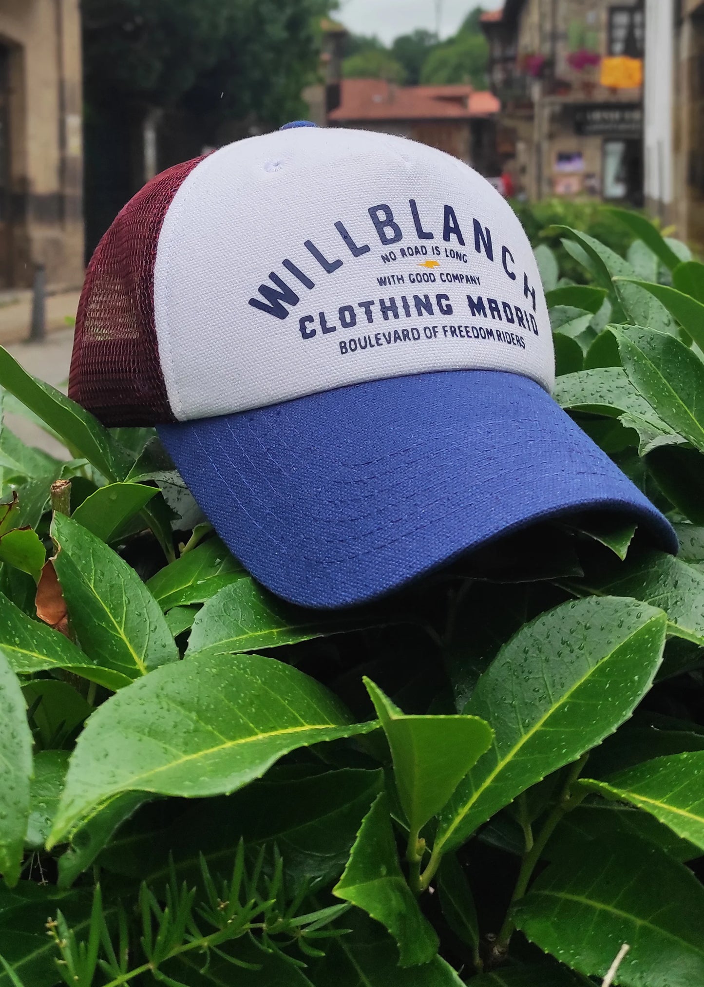 Gorra willblanch blue rider