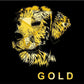 Camiseta Num perro GOLD